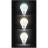 Ampoule KOOL.STAR LAMP LED 23