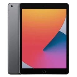 APPLE iPad 8 (2020) 10,2" 128Go Gris Reconditionné grade A+