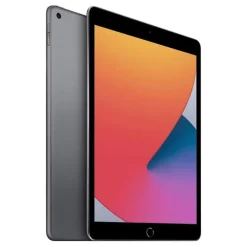 APPLE iPad 8 (2020) 10,2" 128Go Gris Reconditionné grade A+