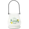 Bougie citronnelle led pot verre