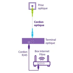 CORDON FIBRE OPTIQUE COMPATIBLE FREE 10M