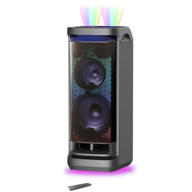 Enceinte sono PICKERING PKG 2000