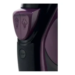 Fer à repasser Russell Hobbs Colour Control Pro Ultra 2800W