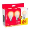 Lot de 3 Ampoules XANLITE E27 100W 3000K