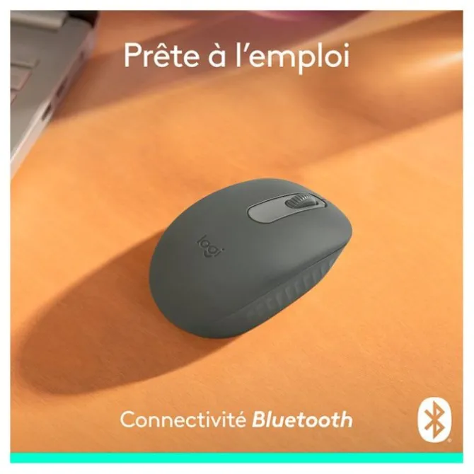 Souris sans fil LOGITECH M196 Graphite bluetooth