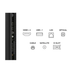 TV MINILED 50