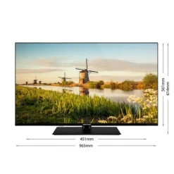 TV QLED 43