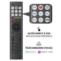 TV QLED 100